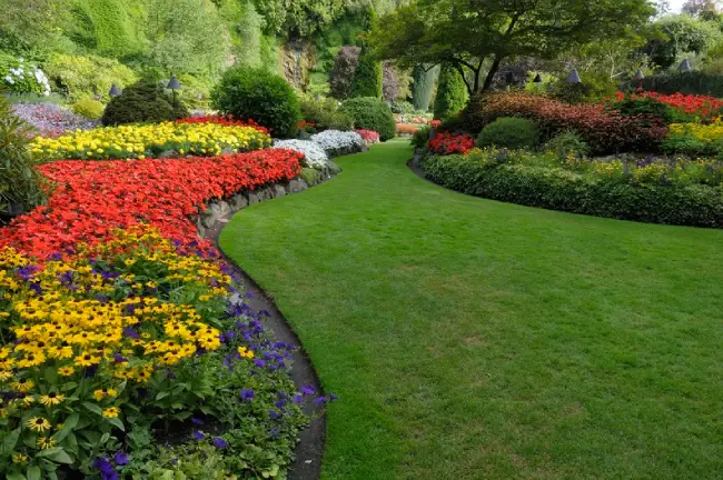 Flower Bed Edging