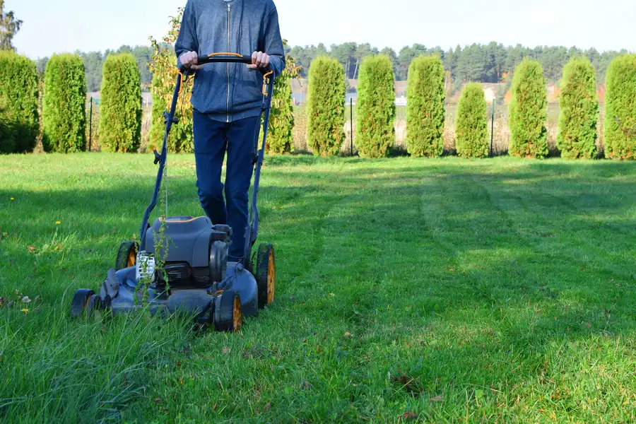 How Mowing Affects Your Lawns Root Growth And Strength Pontiac, MI How Mowing Affects Your Lawns Root Growth And Strength Pontiac, MI