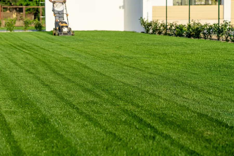 How Mowing Affects Your Lawns Root Growth And Strength in Pontiac MI How Mowing Affects Your Lawns Root Growth And Strength in Pontiac MI