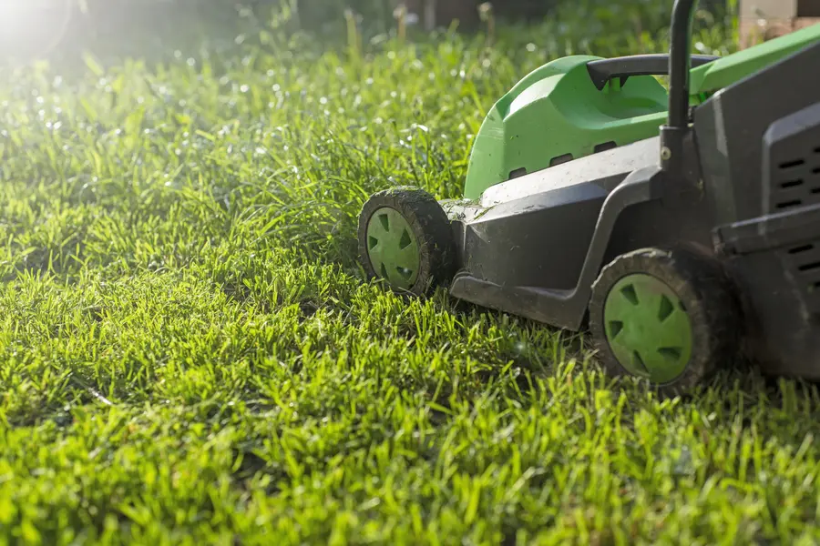 How Regular Mowing Improves Your Lawns Overall Health in Pontiac MI How Regular Mowing Improves Your Lawns Overall Health in Pontiac MI