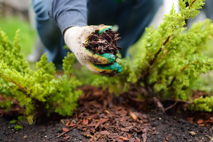 How To Prevent Mulch From Decomposing Too Quickly in Pontiac MI How To Prevent Mulch From Decomposing Too Quickly in Pontiac MI