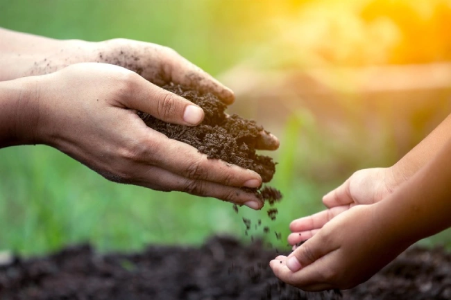 Mulching