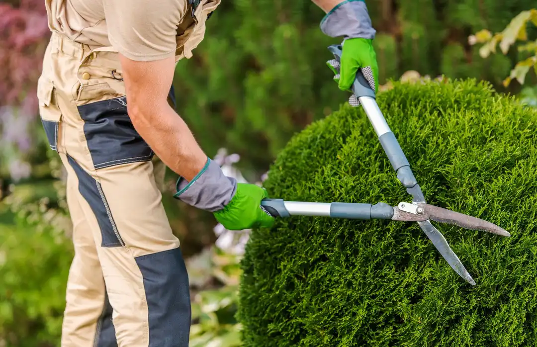 Reliable Landscaper in Pontiac, MI Reliable Landscaper in Pontiac, MI