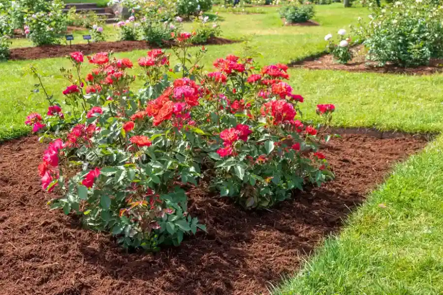 Understanding The Importance Of Mulch For Soil Retention in Pontiac MI Understanding The Importance Of Mulch For Soil Retention in Pontiac MI